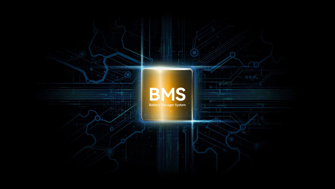 bms battery (1)